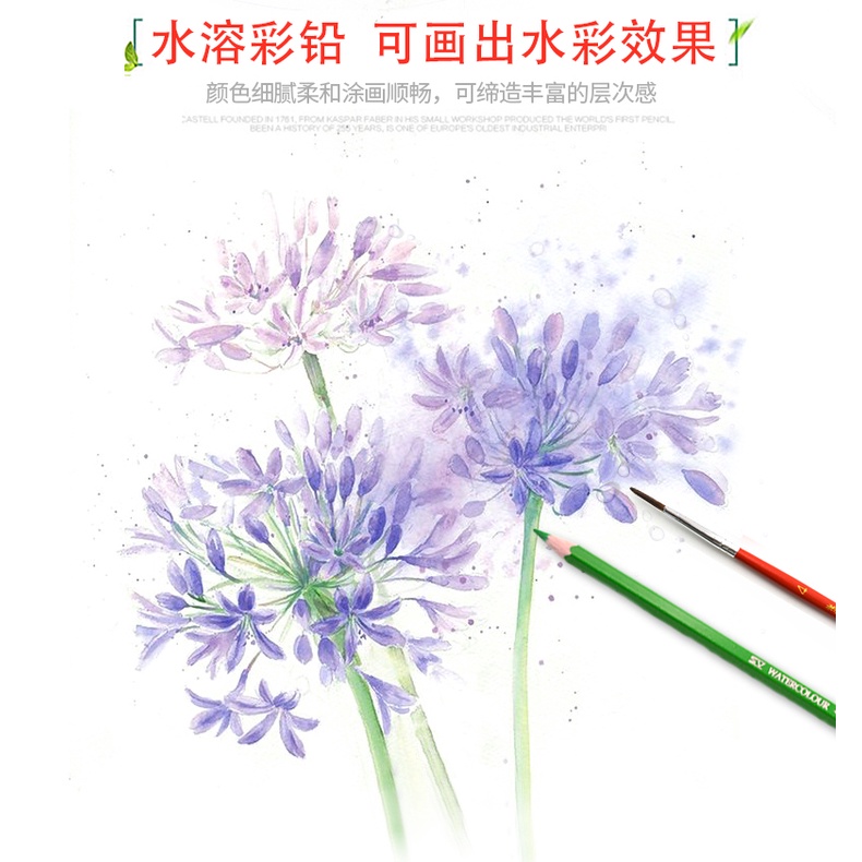 Hộp chì màu trang điểm búp bê
