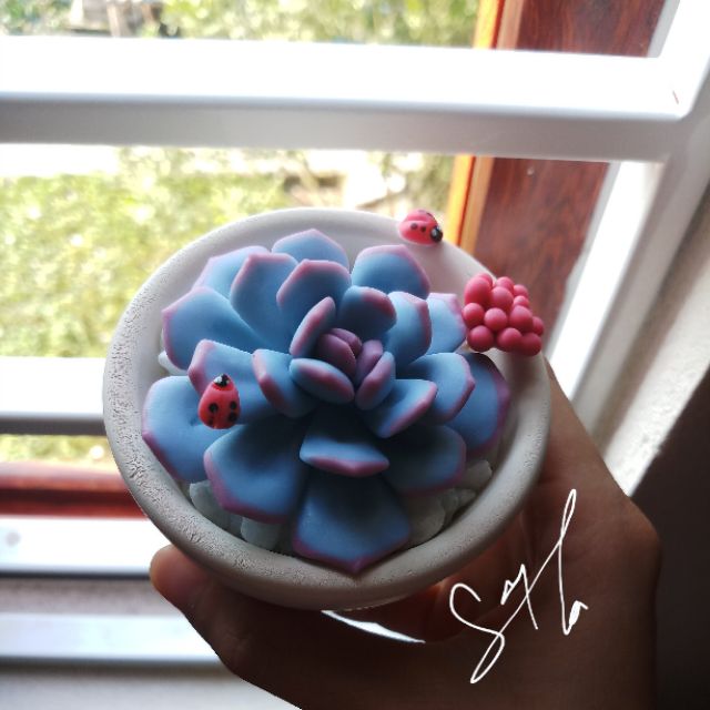 Sen đá đất sét size 7cm