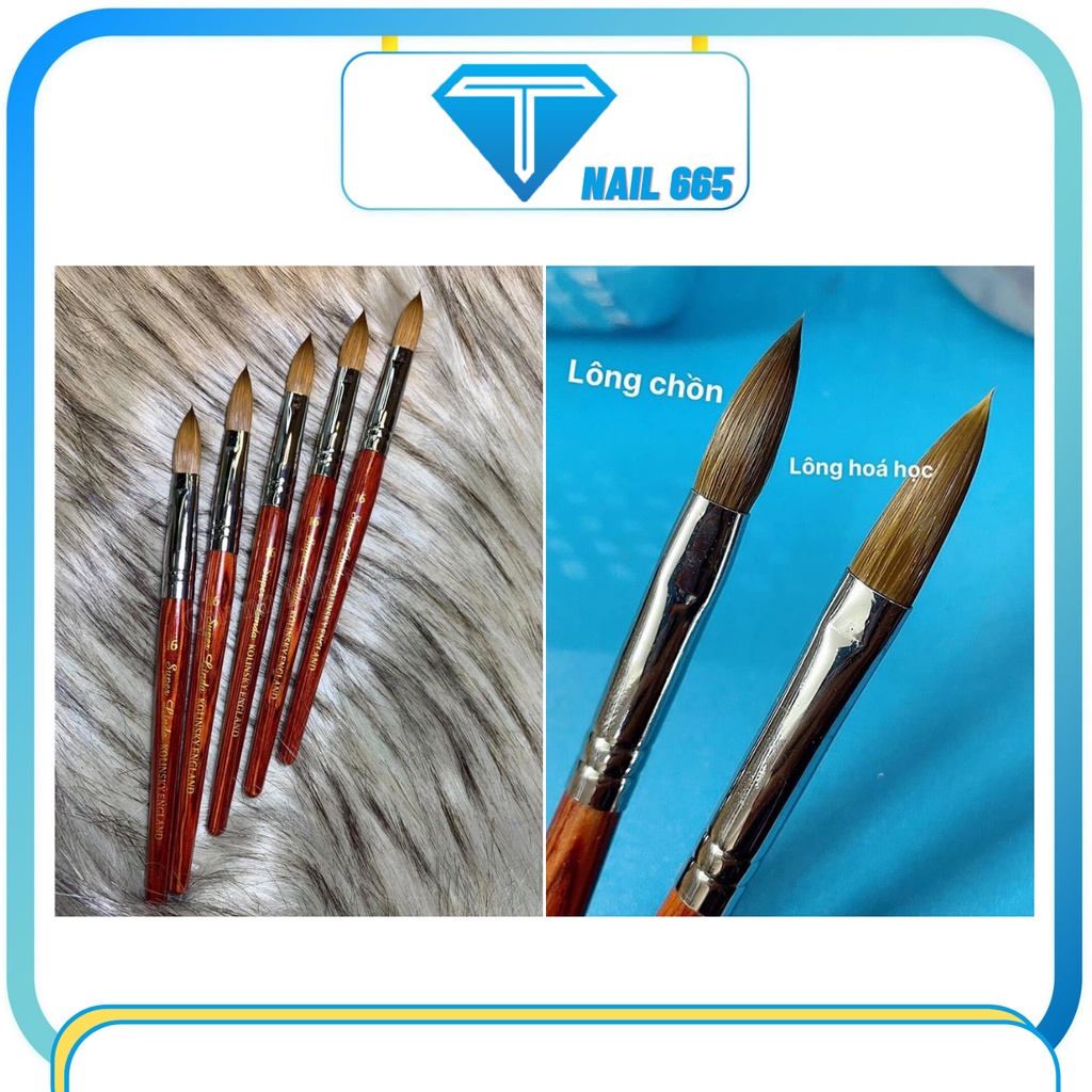 Cọ đắp bột nail Kolinsky , Cọ đắp bột móng nail cao cấp