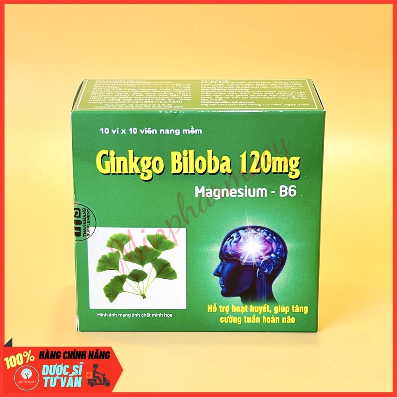 Viên nang Ginkgo Biloba 120mg &amp; Magnesium-B6 Hỗ trợ hoạt huyết, tăng cường tuần hoàn não Hộp 100 viên - Minpharmacy