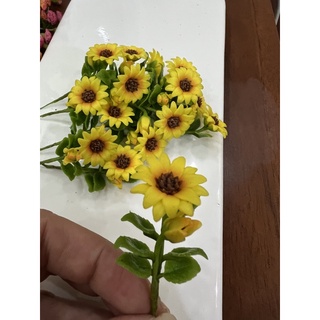 Hoa hướng dương nhí