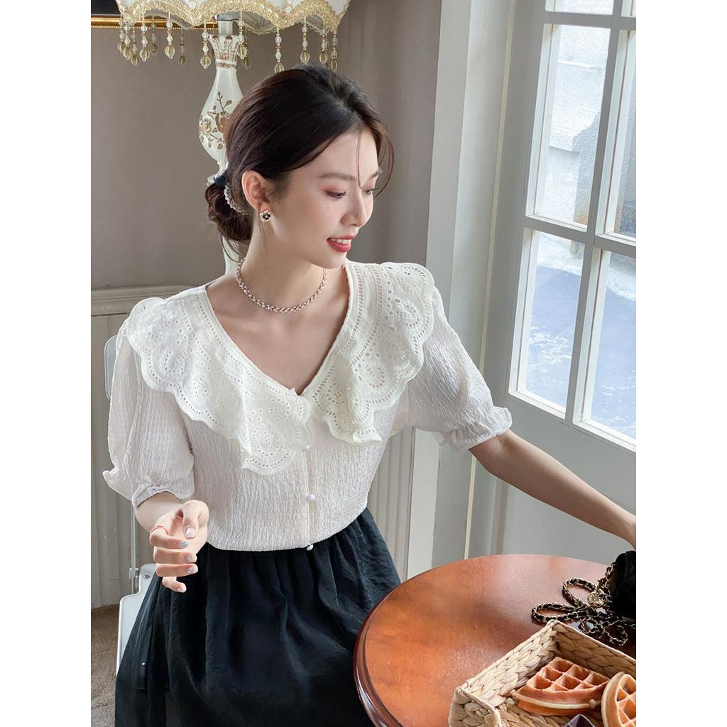 Áo Sơ Mi Ngắn Thêu Họa Tiết Rỗng 63427