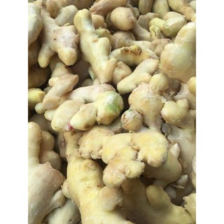mức gừng viên Song Liên