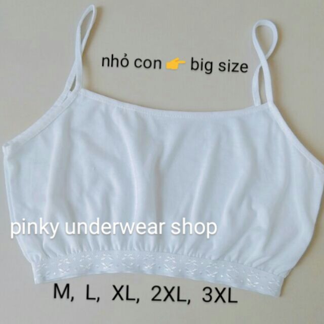 Áo lá học sinh