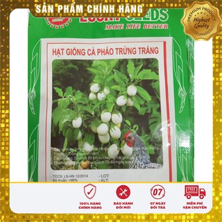 Bộ gói hạt giống Cà pháo (cà bát) (cà trứng) trắng