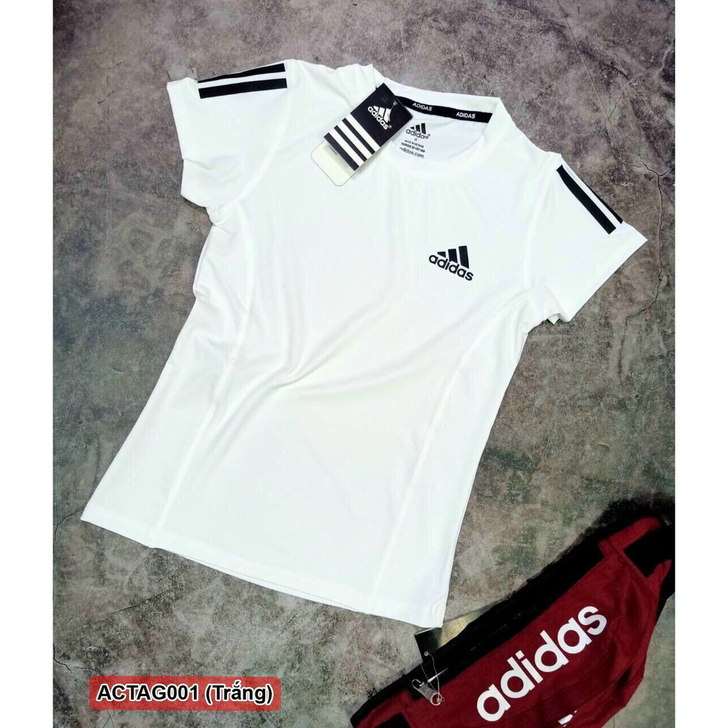 Freeship tất cả các sản phẩm từ 50k - Áo thun nữ tập gym, Áo thể thao nữ, vải Trơn thun lạnh cao cấp | BigBuy360 - bigbuy360.vn