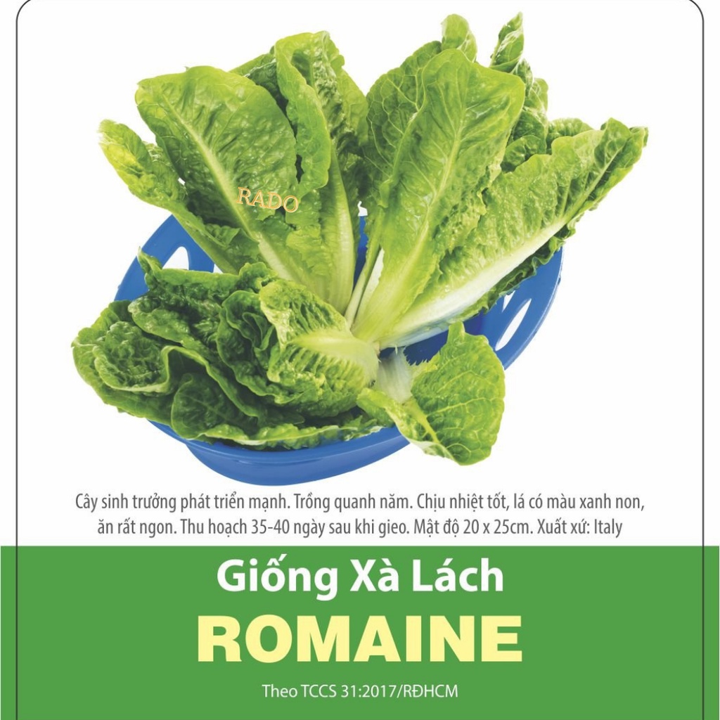 Xà Lách Romaine