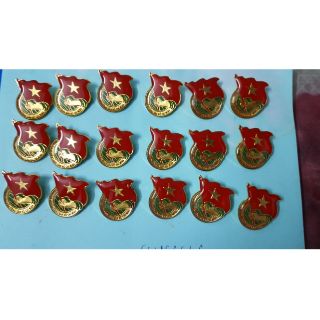 Huy hiệu Đoàn loại tốt nhất( phủ nhựa) không gỉ