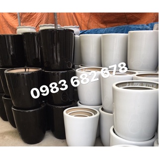 Chậu sứ trắng sz to