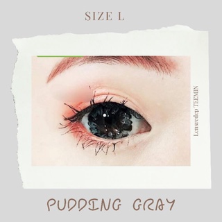 lens pudding gray xám giãn tròng