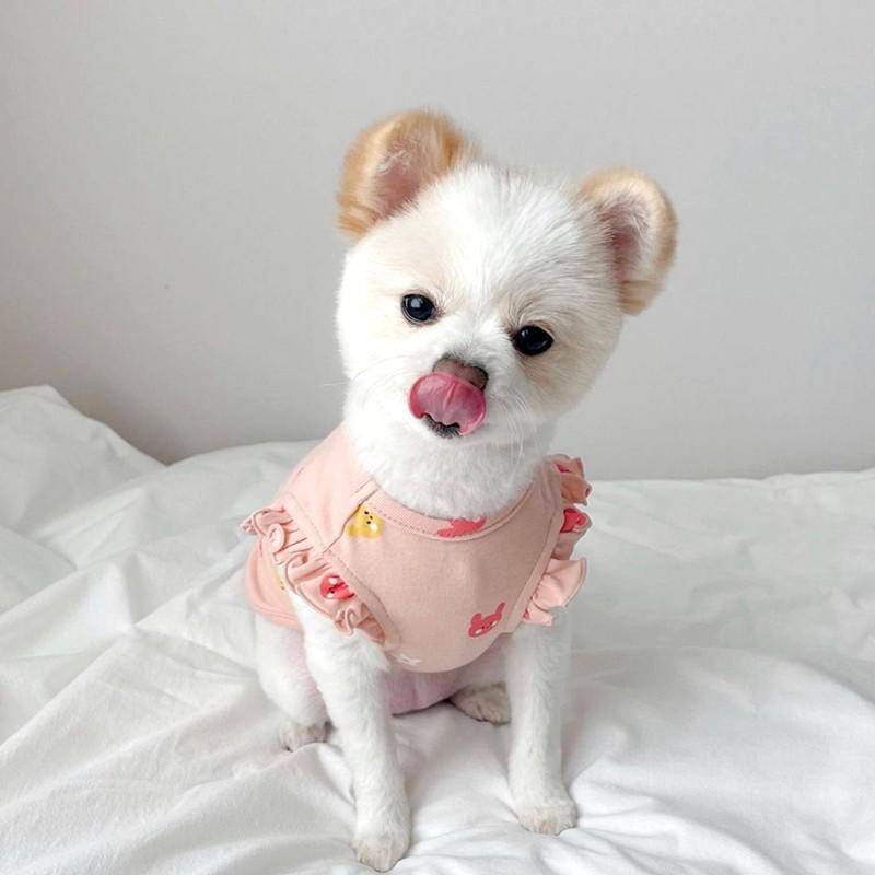 Áo thun HIPIDOG size S-XL thiết kế dễ thương xinh xắn dành cho thú cưng