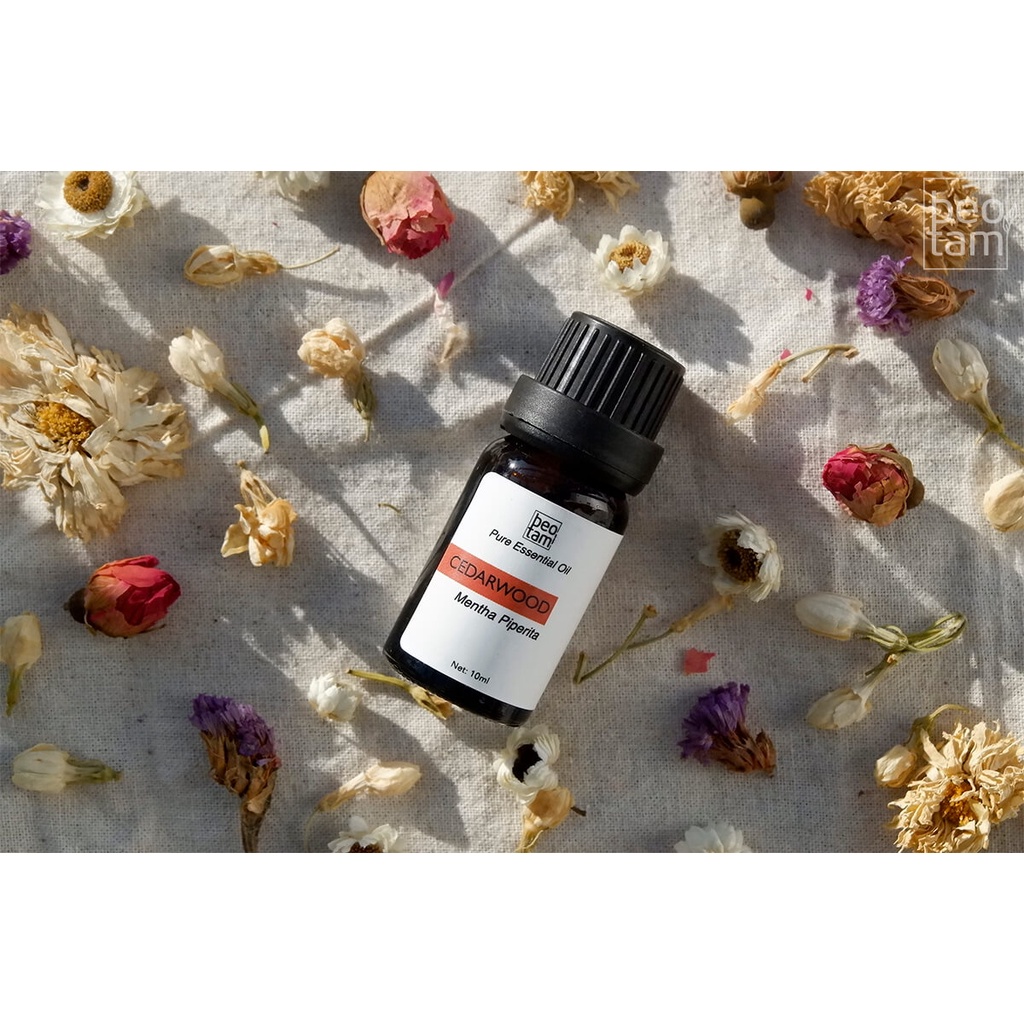 Tinh Dầu Hoàng Đàn Bèo Tấm Cedarwood Essential Oil - Giảm căng thẳng