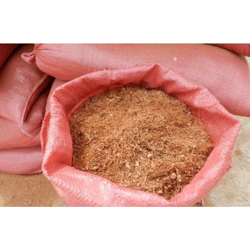 Mụn xơ dừa trồng rau, hoa kiểng