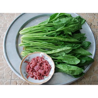 5gr - HẠT GIỐNG CẢI BÓ XÔI