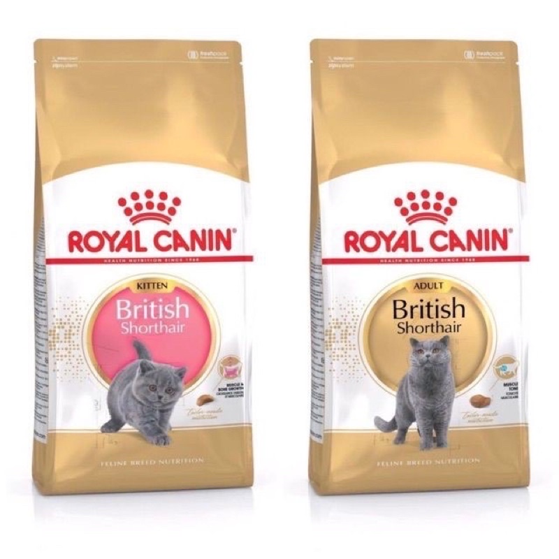 [ 2kg zin ] Royal Canin British Shorthair Cho Mèo Anh Lông Ngắn