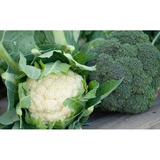 Hạt Giống Bông Cải Xanh (Súp Lơ Xanh)