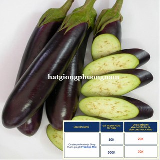 1GR - HẠT GIỐNG CÀ TÍM DÀI