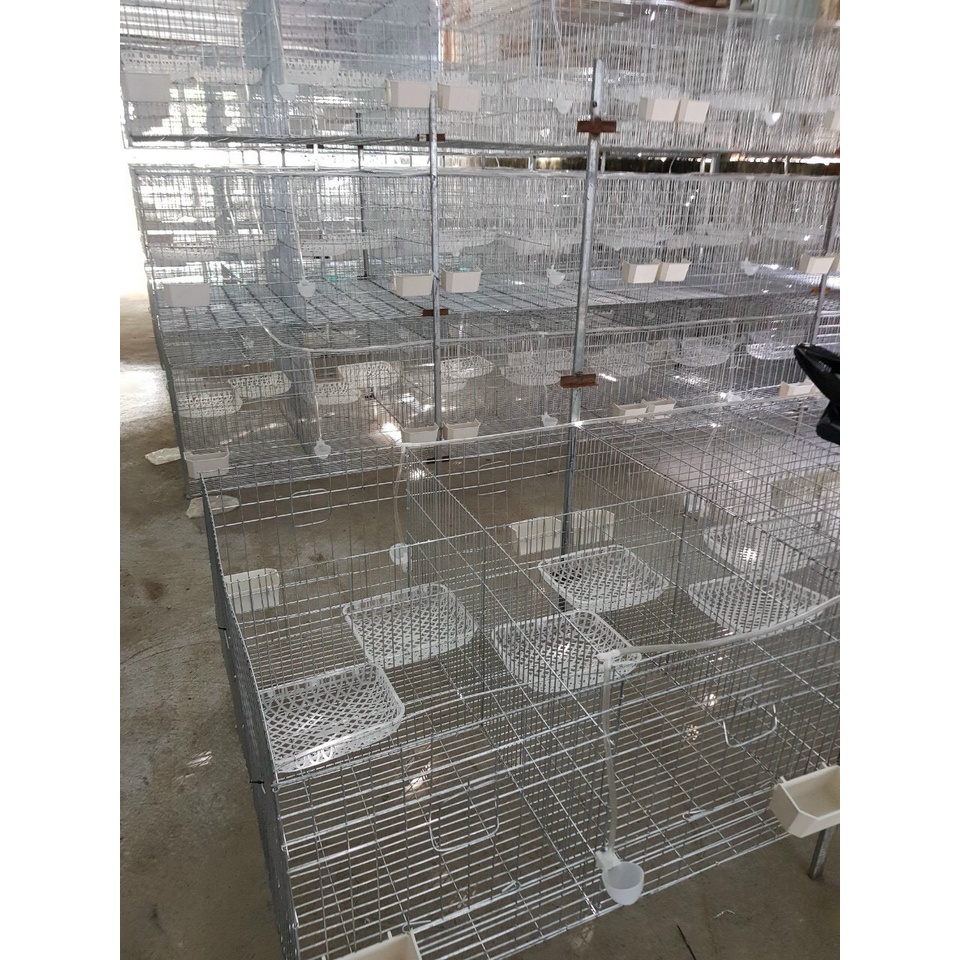 10 Máng Uống tự động cho bồ câu, gà, chim cút