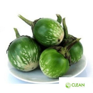 HẠT GIỐNG CÀ BÁT XANH - gói 1 gam