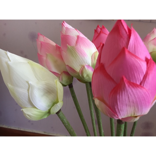 [Hàng mới về] Hoa sen lụa cao cấp siêu đẹp