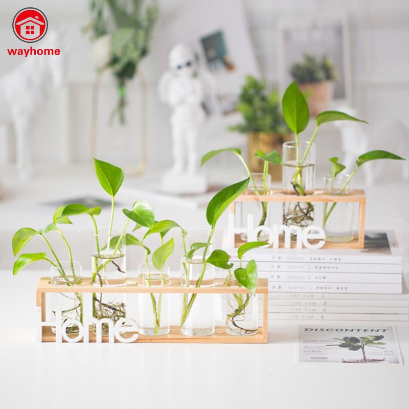 Đế Gỗ/Lọ Thuỷ Tinh Trồng Cây Trang Trí Nhà Cửa Độc Đáo