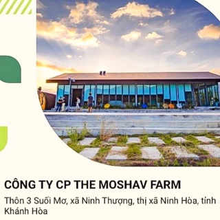 MẶT NẠ BÙN KHOÁNG