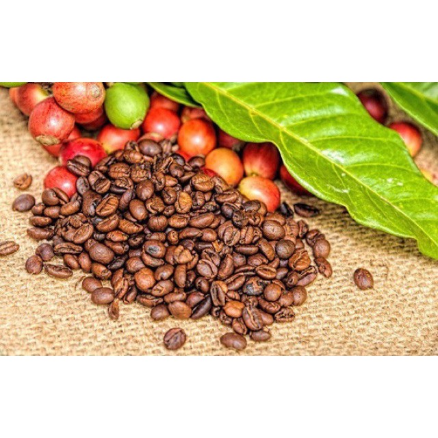 Vải bố chụp ảnh decor sản phẩm ,trang trí khổ 60