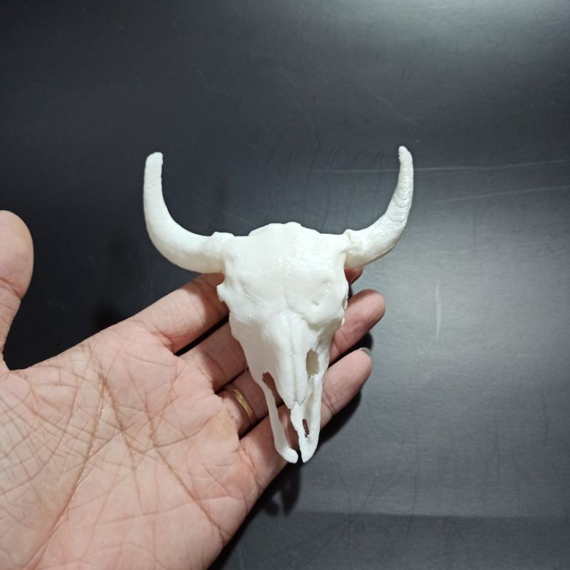 Mô hình đầu lâu bò tót dài 10cm, tỉ lệ 1:6 trang trí kinh dị, chuồng bò sát, halloween, tiểu cảnh