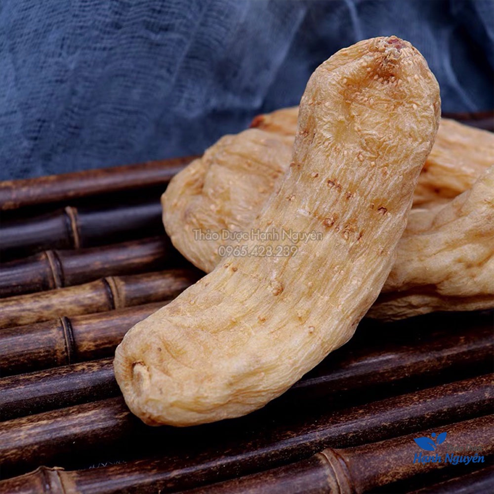 Củ thiên ma khô 500g (Hàng loại 1, củ to, giảm tê bì chan tay) - Thảo Dược Hạnh Nguyên