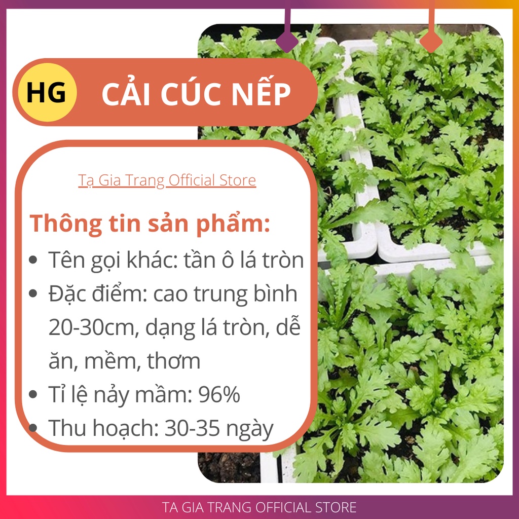 Hạt giống rau cải cúc nếp (tần ô lá tròn) - Shop hạt giống Tạ Gia Trang