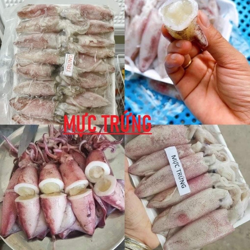 Mực trứng sz 16-18con/kg.