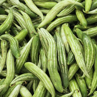 Hạt giống Lặc lày- mướp mèo gói 10 hạt xuất xứ Nhật Bản