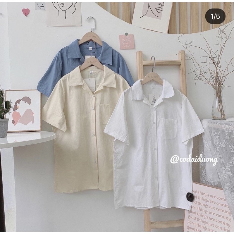 áo sơ mi bazic ngắn tay 2367