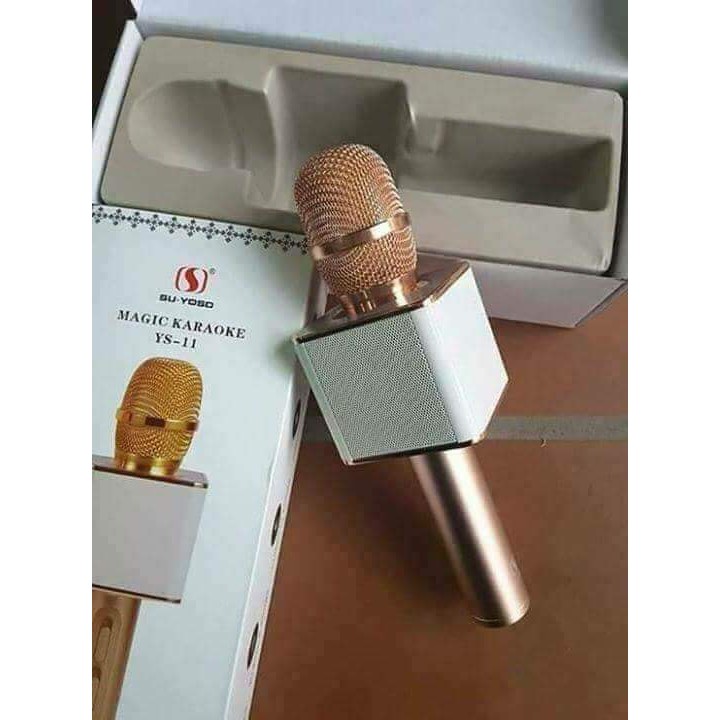Mic kèm loa YS-11