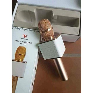 Mic kèm loa YS-11
