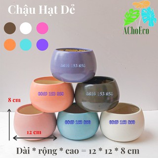 Chậu Cây Cảnh Sứ - Chậu Hạt Dẻ Trồng Cây Size 12*8 cm