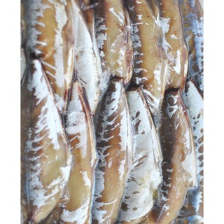 1 Kg CÁ NỤC