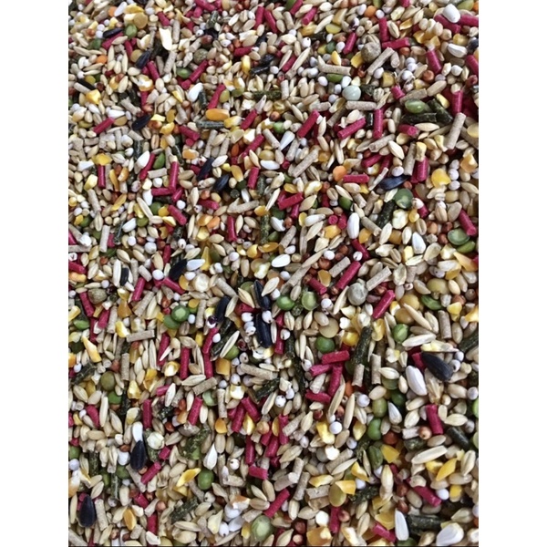 ngủ cốc gà 22k 1kg