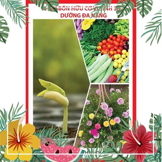 Phân bón hữu cơ vi sinh siêu dưỡng đa năng f1