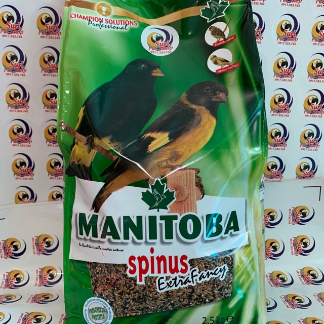 Hạt trộn spinus extra fancy dành cho Siskin và thạch yến