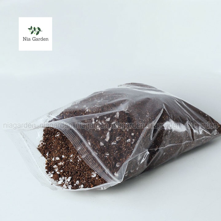 Đất trồng sen đá xương rồng trộn sẵn giá thể cho kiểng lá cây để bàn Nia Garden N6