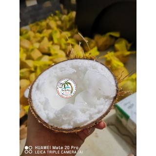 Dừa Sáp Đặc Biệt to ngon 220k