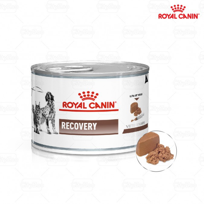 Pate Recovery Royal Canin phục hồi sức khỏe và bổ sung dinh dưỡng cho chó mèo