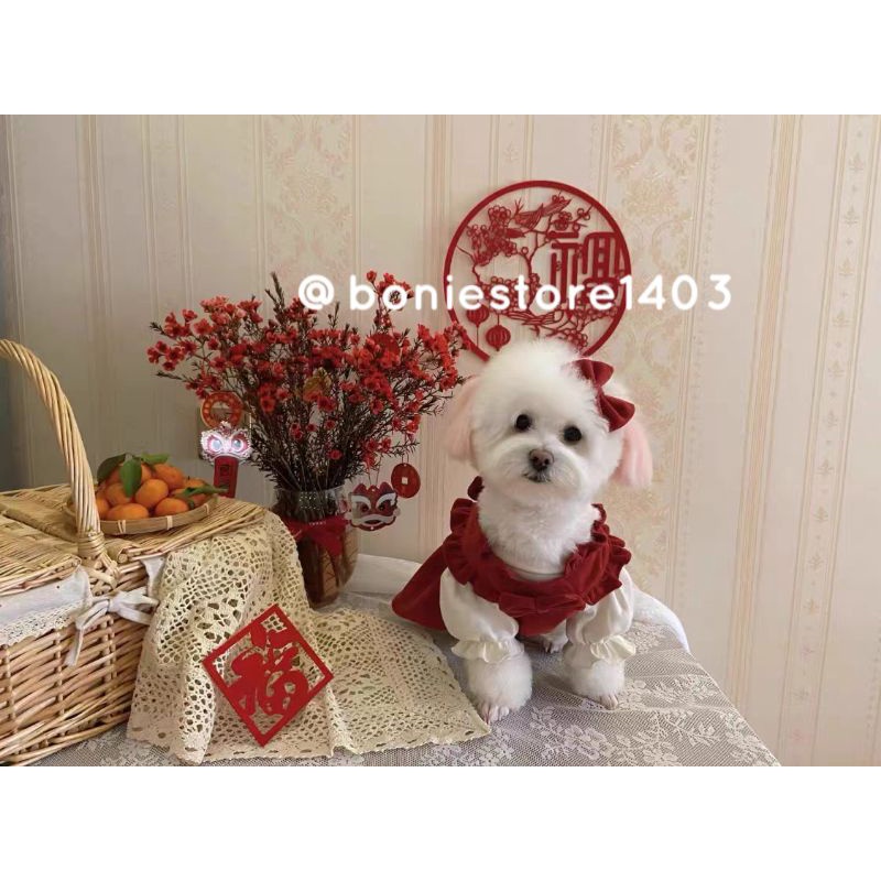 Set Áo Yếm Chó Mèo Thú Cưng Kèm Nơ Cài Đầu Màu Đỏ Dễ Thương