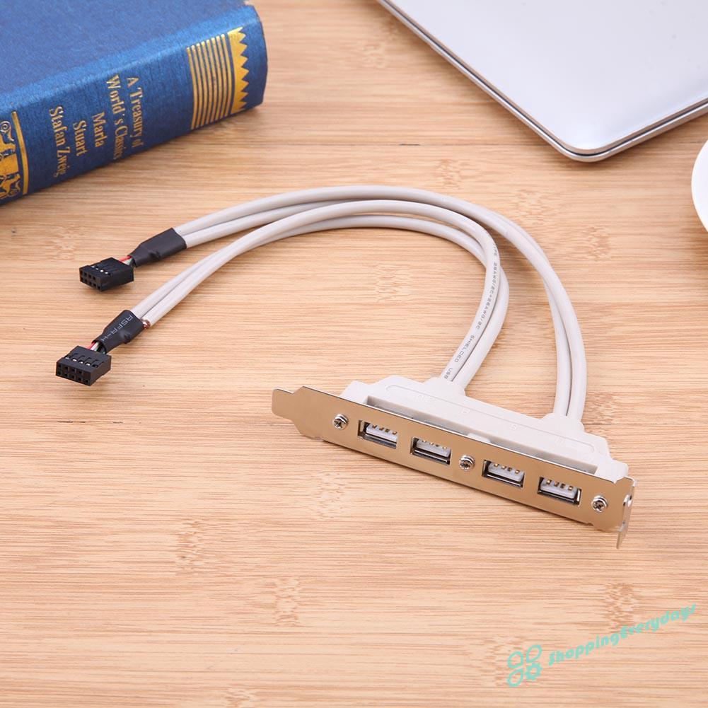 Dây Cáp Chuyển Đổi Cổng Usb 2.0 Sang Cổng Bo Mạch Chủ 9pin 4 Cổng | BigBuy360 - bigbuy360.vn