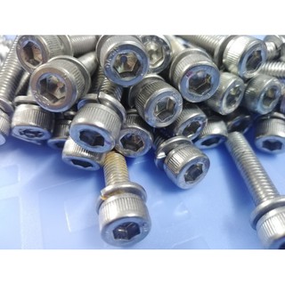 ốc inox 6mm japan, có long đền chống rung (10 con)