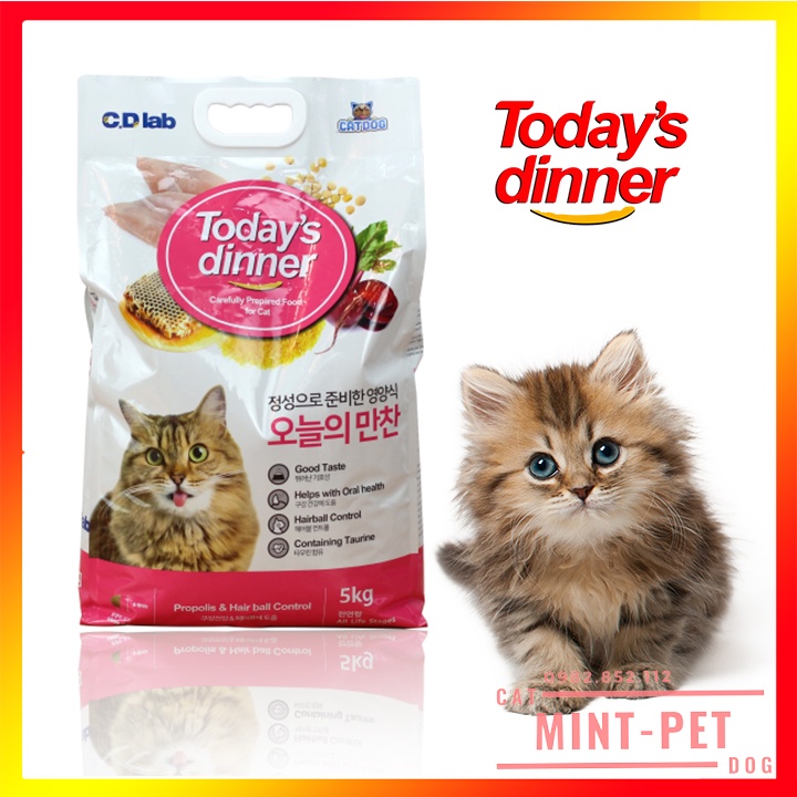 Thức Ăn Hạt Cho Mèo Catsrang 5kg Giá rẻ #MintPet