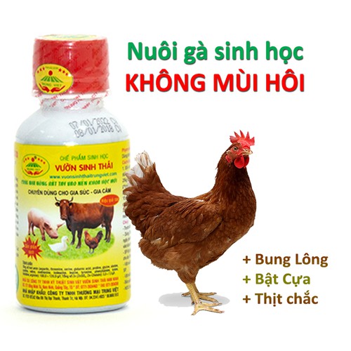 Chế phẩm sinh học VƯỜN SINH THÁI nuôi GÀ không mùi hôi