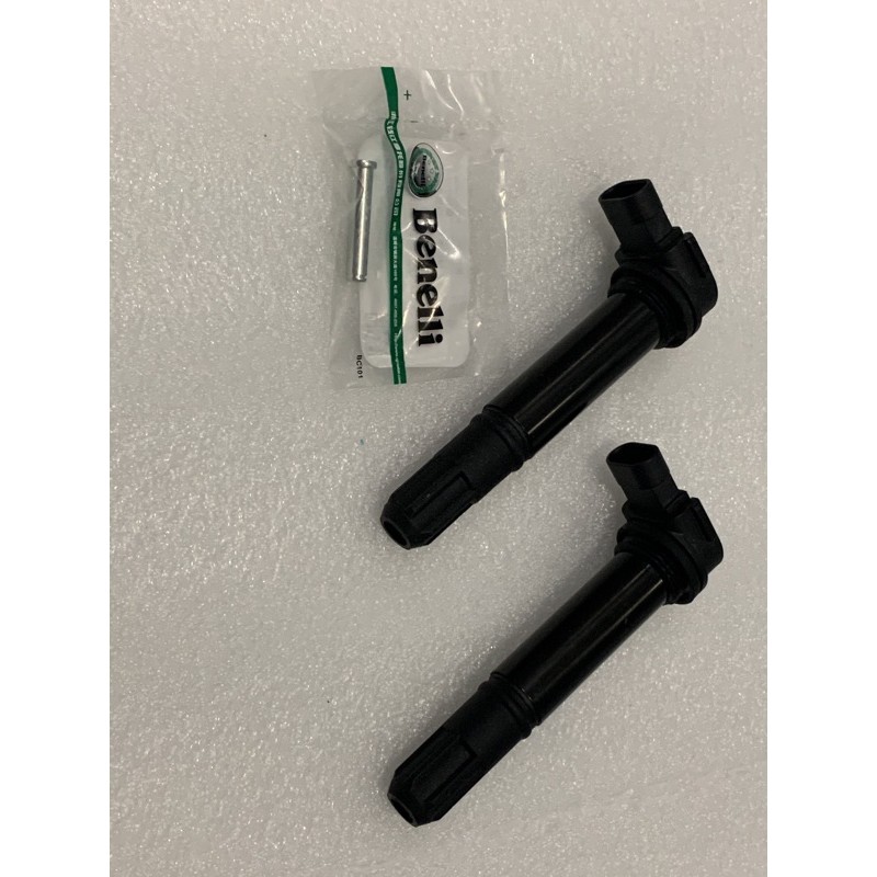Mobin sườn xe Benelli TRK502, Leoncino500