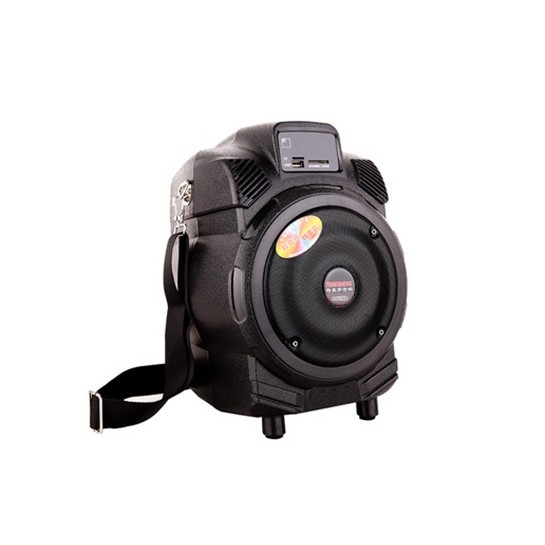 Loa di động Temeisheng Q6F